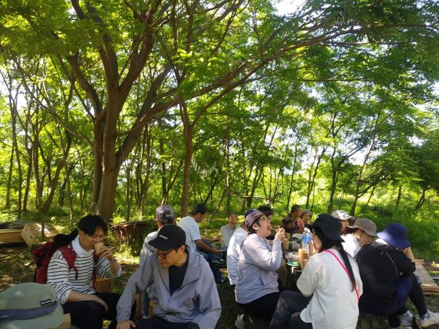 260530_73軽容量