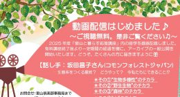 シガラ2026YouTube